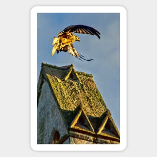 Red Kite Rising Sticker